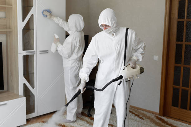 Attic Mold Removal in Lewisburg, PA