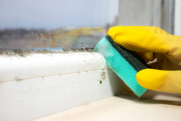 Best Residential Mold Removal  in Lewisburg, PA