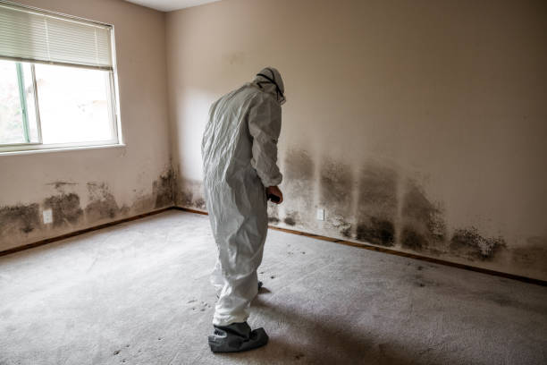 Best Crawl Space Mold Removal  in Lewisburg, PA
